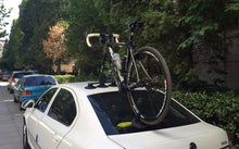 Indlæs billede til gallerivisning TreeFrog Elite 1 Cykelholder m. sugekopper til 1 cykel